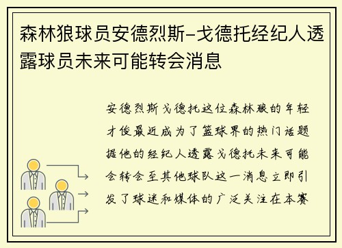 森林狼球员安德烈斯-戈德托经纪人透露球员未来可能转会消息